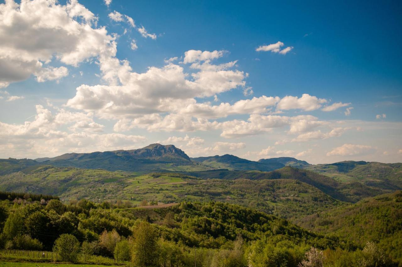 Vila Angelina Kušići Exteriör bild