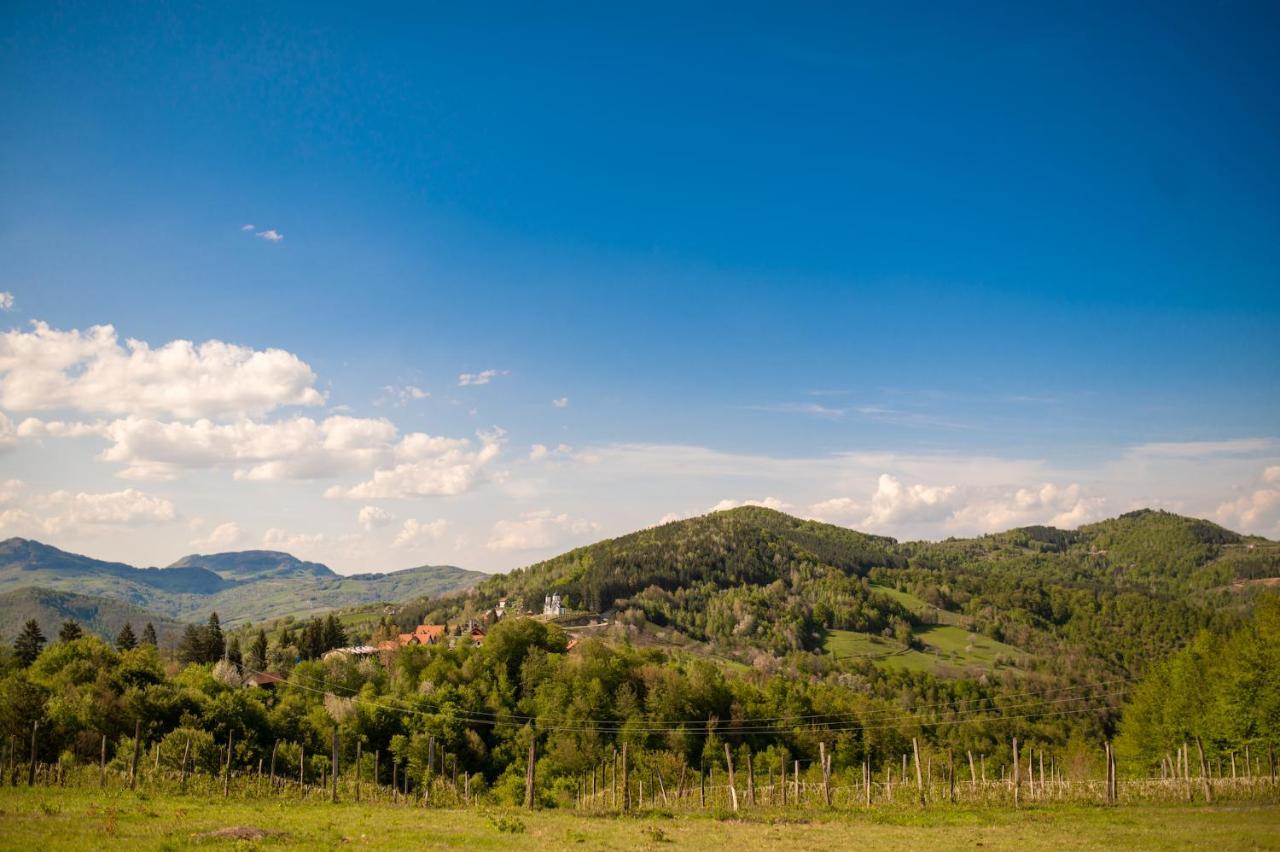 Vila Angelina Kušići Exteriör bild