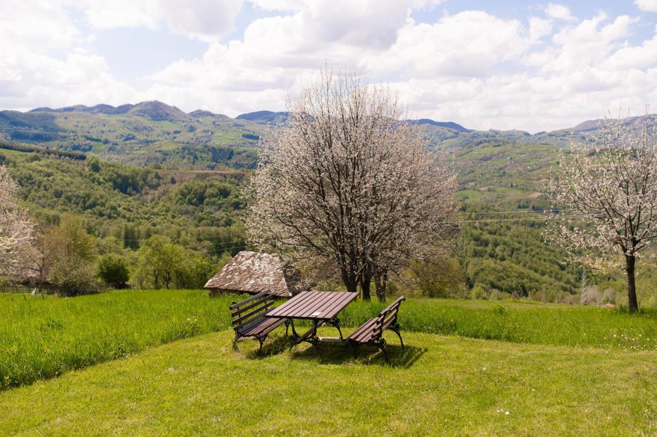 Vila Angelina Kušići Exteriör bild