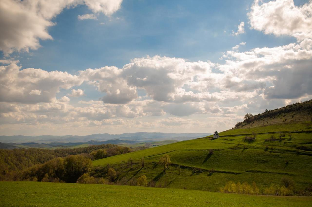 Vila Angelina Kušići Exteriör bild